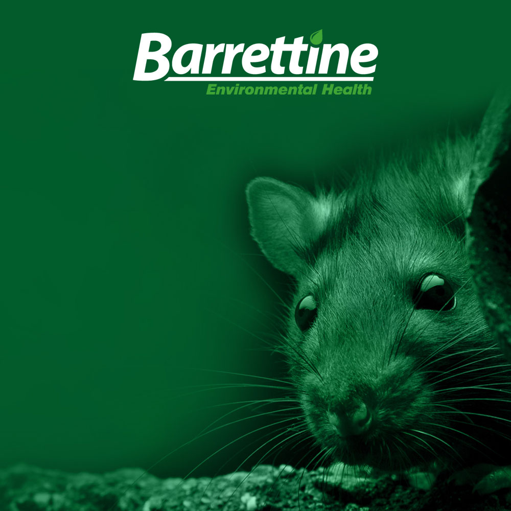 Barrettine Environmental Health (BEH)